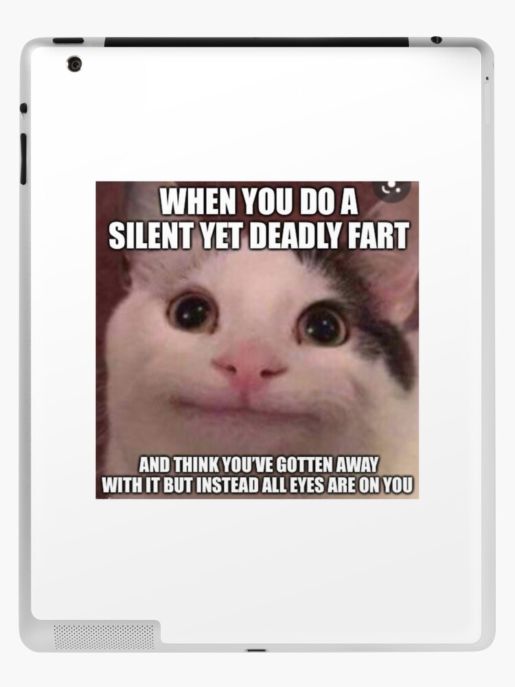 Beluga, meme cat, memes, HD phone wallpaper
