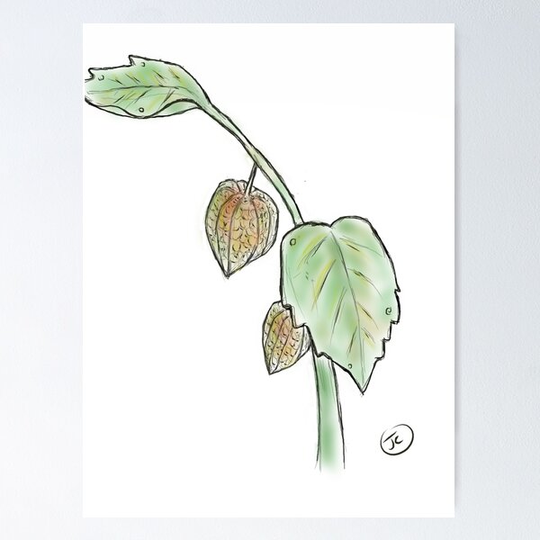 Item preview, Gooseberry/Wild Things Are (Redux) designed and sold by Wolf's Art.