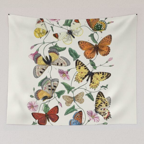 Item preview, Vintage Butterflies Le Jardin Des Plantes by Paul Gervais designed and sold by artemisxluna89.