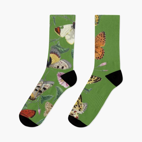 Item preview, Vintage Butterflies Le Jardin Des Plantes by Paul Gervais designed and sold by artemisxluna89.