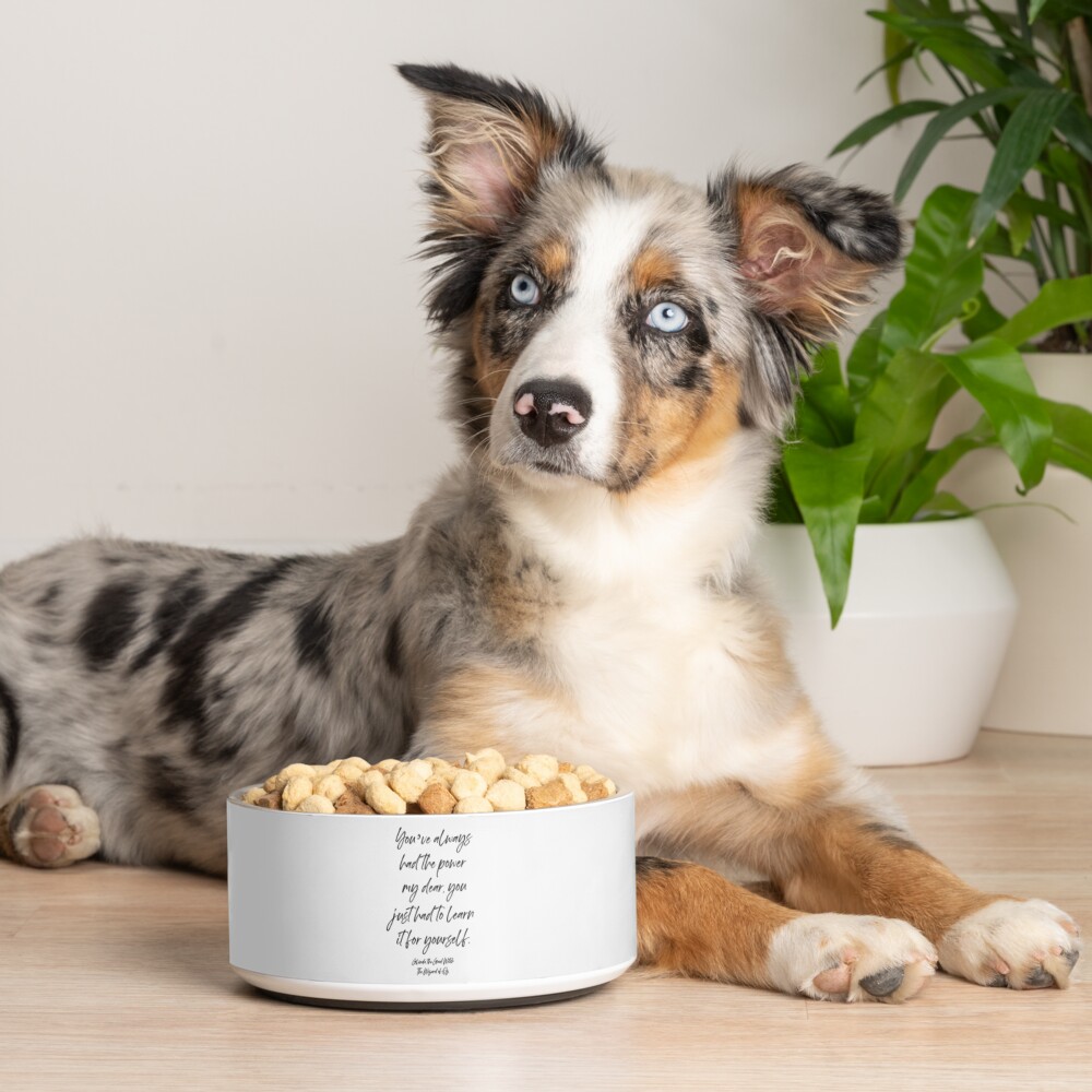 Item preview, Pet Bowl designed and sold by corbrand.
