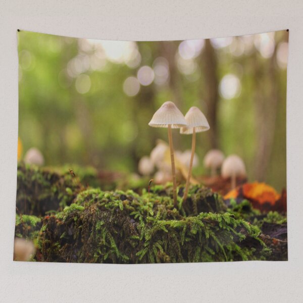 Item preview, Forest Floor designed and sold by Vicki Spindler (VHS Photography).