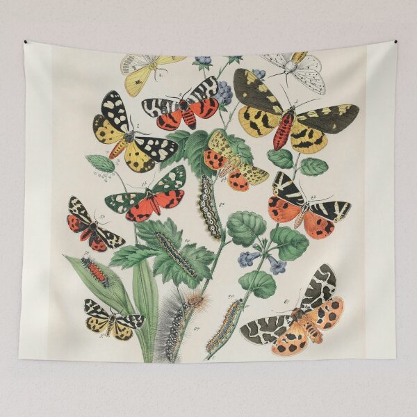 Item preview, Vintage Butterflies Moths and Caterpillars  designed and sold by artemisxluna89.