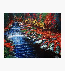 Stream Of Consciousness Photographic Print
