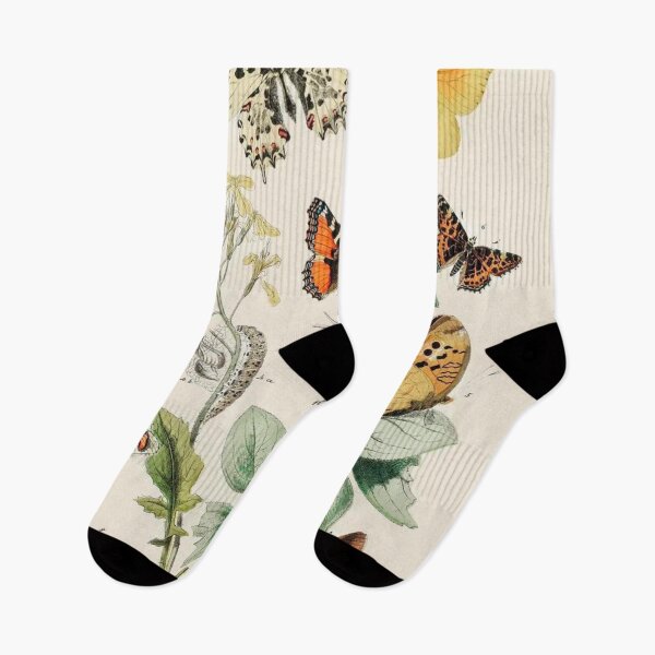 Item preview, Vintage Butterflies Moths and Caterpillars  designed and sold by artemisxluna89.