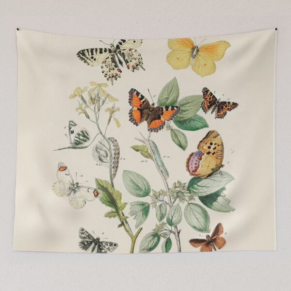 Item preview, Vintage Butterflies Moths and Caterpillars  designed and sold by artemisxluna89.
