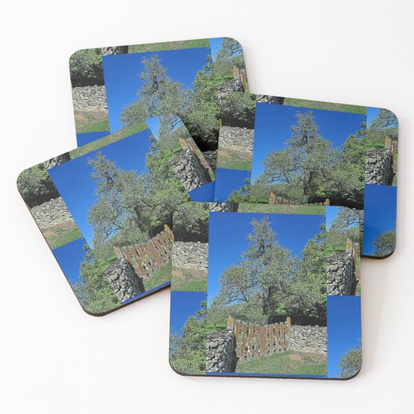 Item preview, r459 / Finition 2022, " la Vieille barriére & le grand Sorcier " Arbre Protecteur & Les Visages sont là ! " - Okaio Créations - Olavia-Olao designed and sold by o.okaïo.