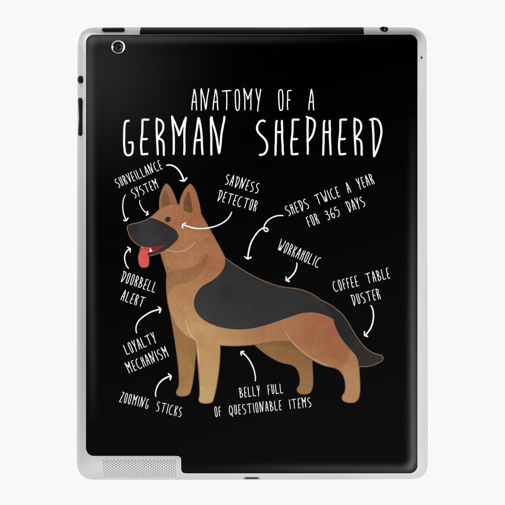 German 2025 shepherd items