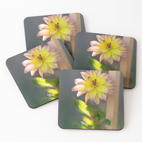 Item preview, Dahlia designed and sold by atzphotography.