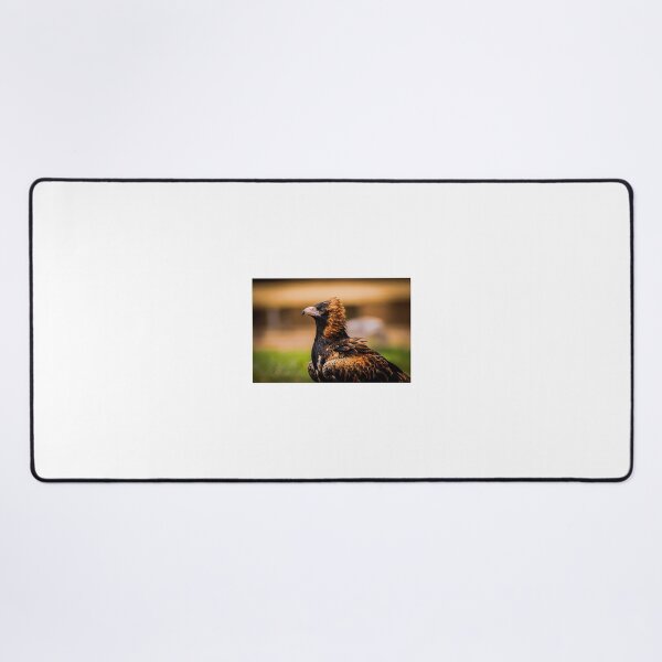 Item preview, Australian Buzzard designed and sold by PVphotography.
