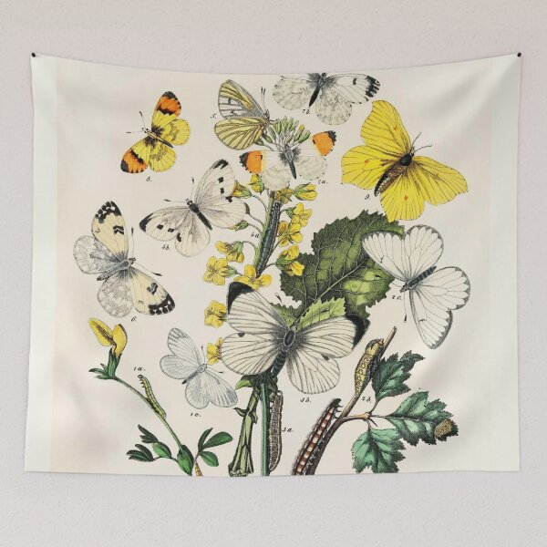 Item preview, Vintage Butterflies Moths and Caterpillars  designed and sold by artemisxluna89.