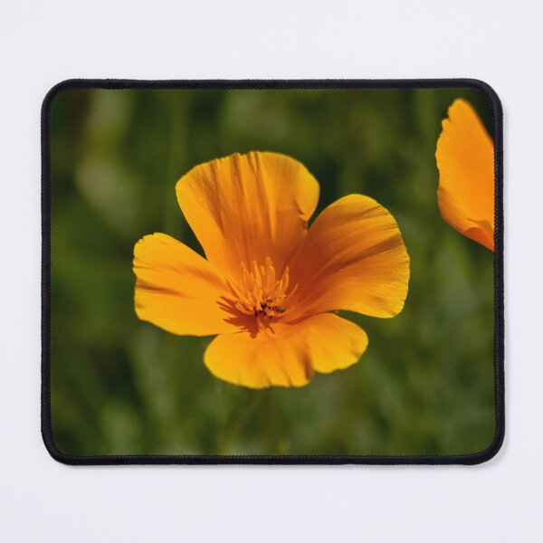 Item preview, California Poppy designed and sold by atzphotography.