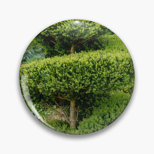 Item preview, Topiary designed and sold by Dreamscape Eclectic .