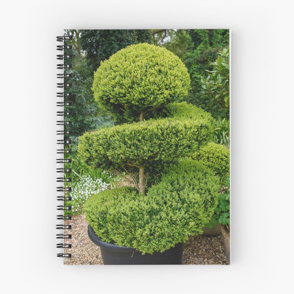 Item preview, Topiary designed and sold by Dreamscape Eclectic .