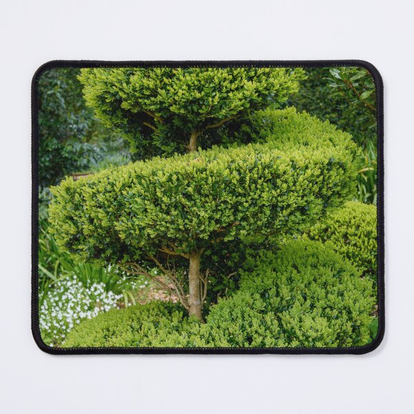 Item preview, Topiary designed and sold by Dreamscape Eclectic .