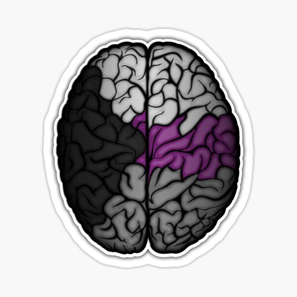 Large Demisexual Pride Flag Colored Brain Vector Sticker