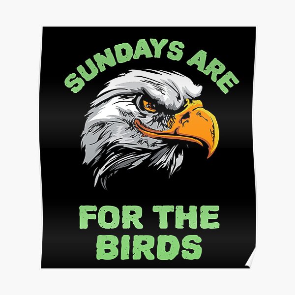 Philadelphia Eagles NFL Fanatics Men's Black Sundays are for the Birds  T-Shirt