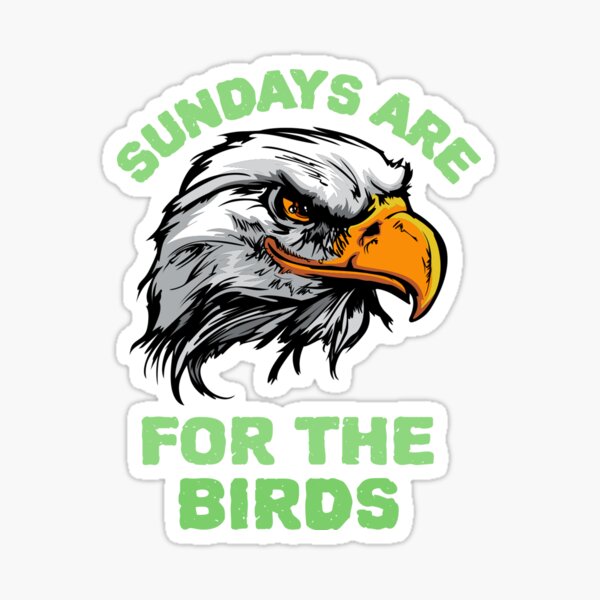 Philadelphia Football Shirt, Philadelphia Eagles Shirt, Sundays are for the Birds  Shirt, Bird Gang Football Sunday Shirt - Cherrycatshop