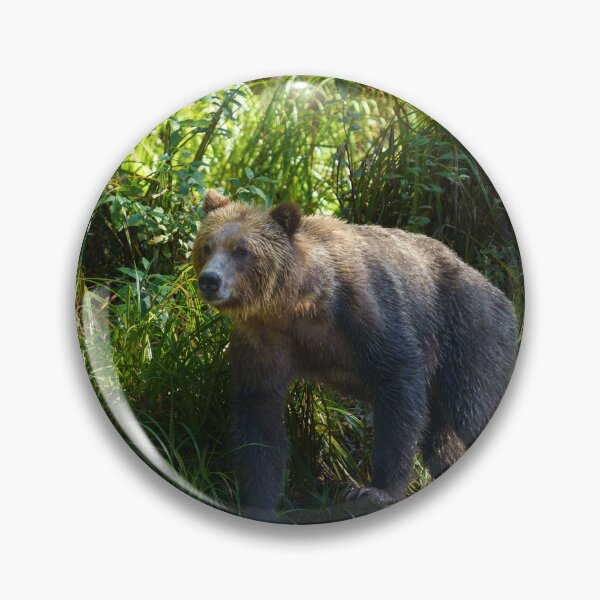 Item preview, Wild Grizzly At Bute Inlet designed and sold by rawshutterbug.
