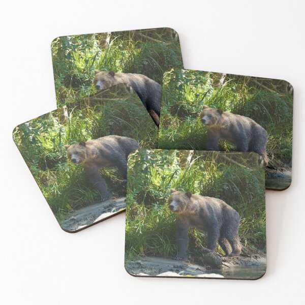Item preview, Wild Grizzly At Bute Inlet designed and sold by rawshutterbug.