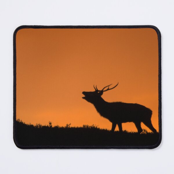 Item preview, Roaring Stag designed and sold by Macrae images.