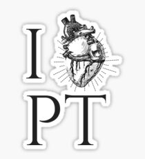 Physical Therapy Shirt for PTs and PTAs Sticker