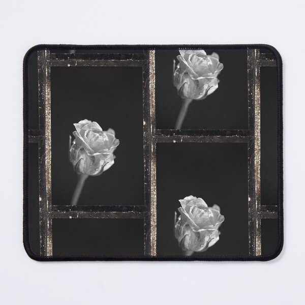 Item preview, Drama Frame Variegated Rose designed and sold by Joy Watson - Natural Light Photography .