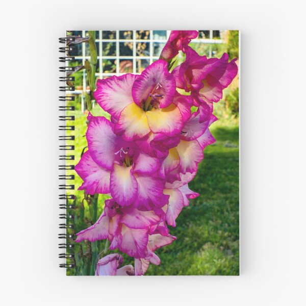 Item preview, And we still have glads designed and sold by Bryan Spellman.