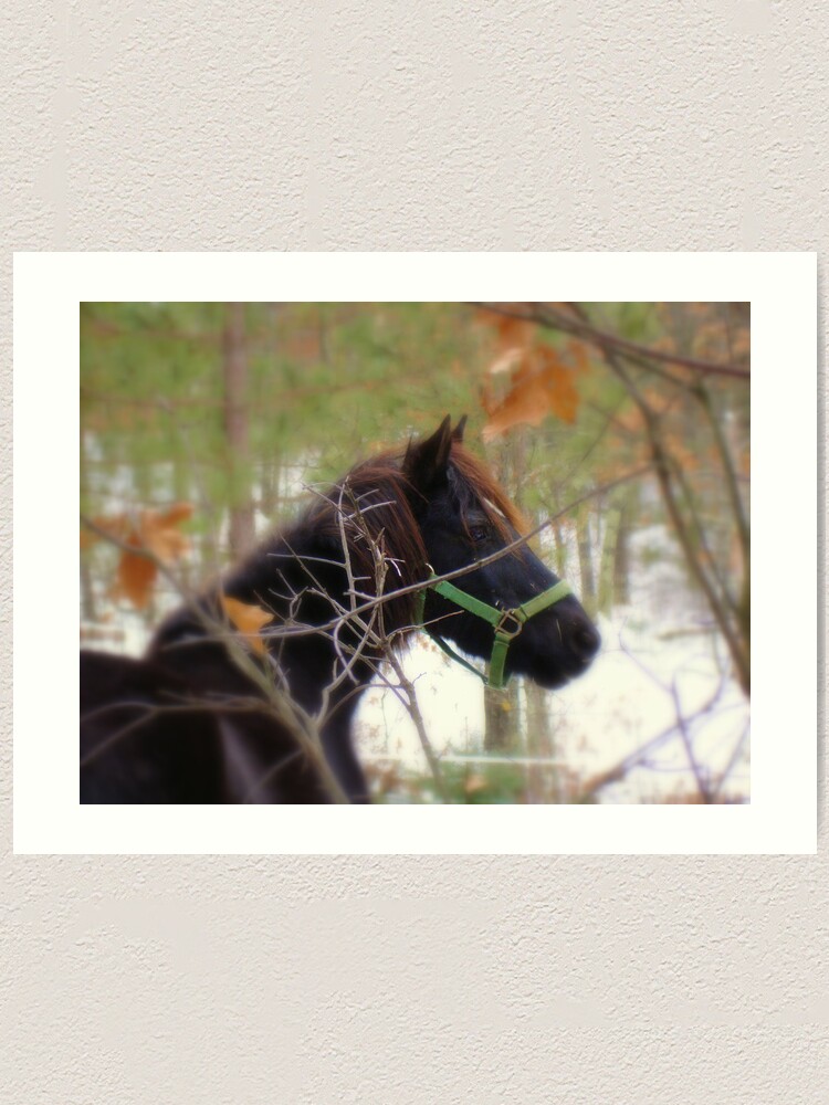 Alternate view of My Beauty Art Print