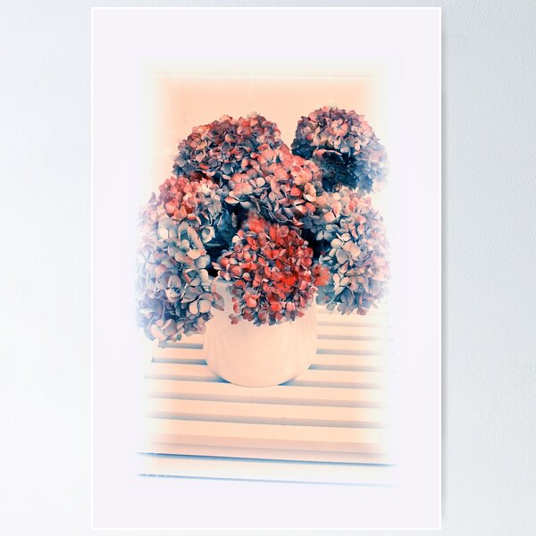 Item preview, HYDRANGEAS designed and sold by scarletjames.