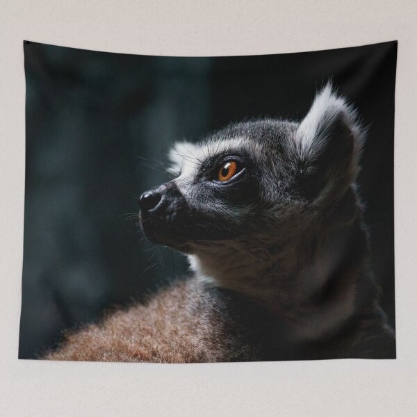 Item preview, Lemur Close Up designed and sold by ChloePorter17.