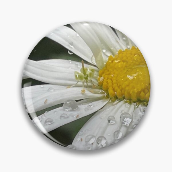 Item preview, Daisies are like sunshine to the ground. designed and sold by livfrthmmrs.