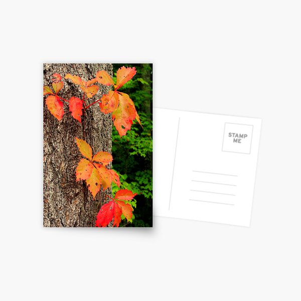 Be Postcard