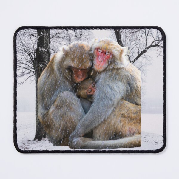 Item preview, Monkey family in the snow designed and sold by Benlaniboutique.