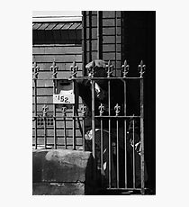 The man from 152 Photographic Print