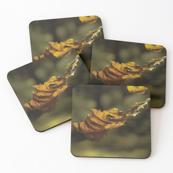 Item preview, Leaf in the sunshine designed and sold by elvirahphoto.