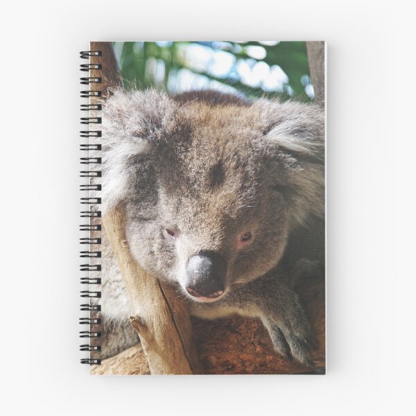 Item preview, Koala, Barely Awake! designed and sold by lezvee.