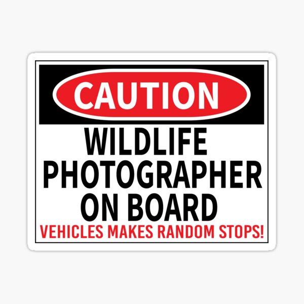 Item preview, Wild Life Photographer On Board Photographer Bumper designed and sold by jojosign.