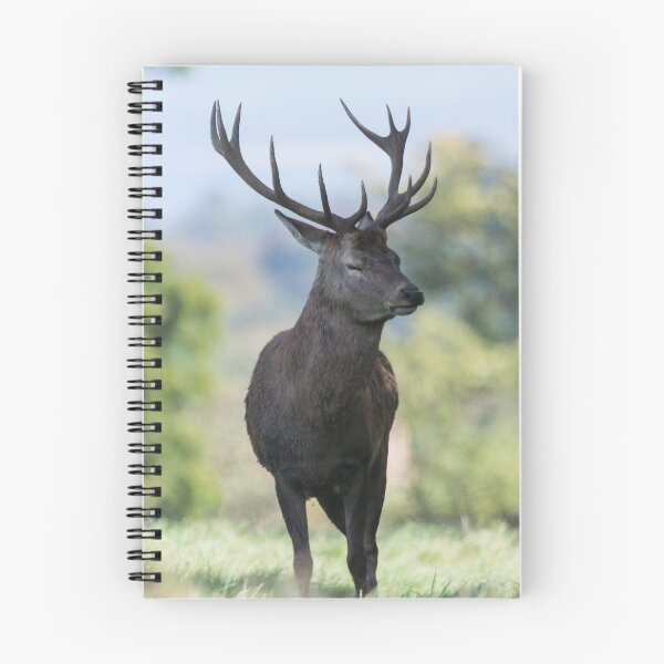 Item preview, Stag Deer designed and sold by John Stoves.