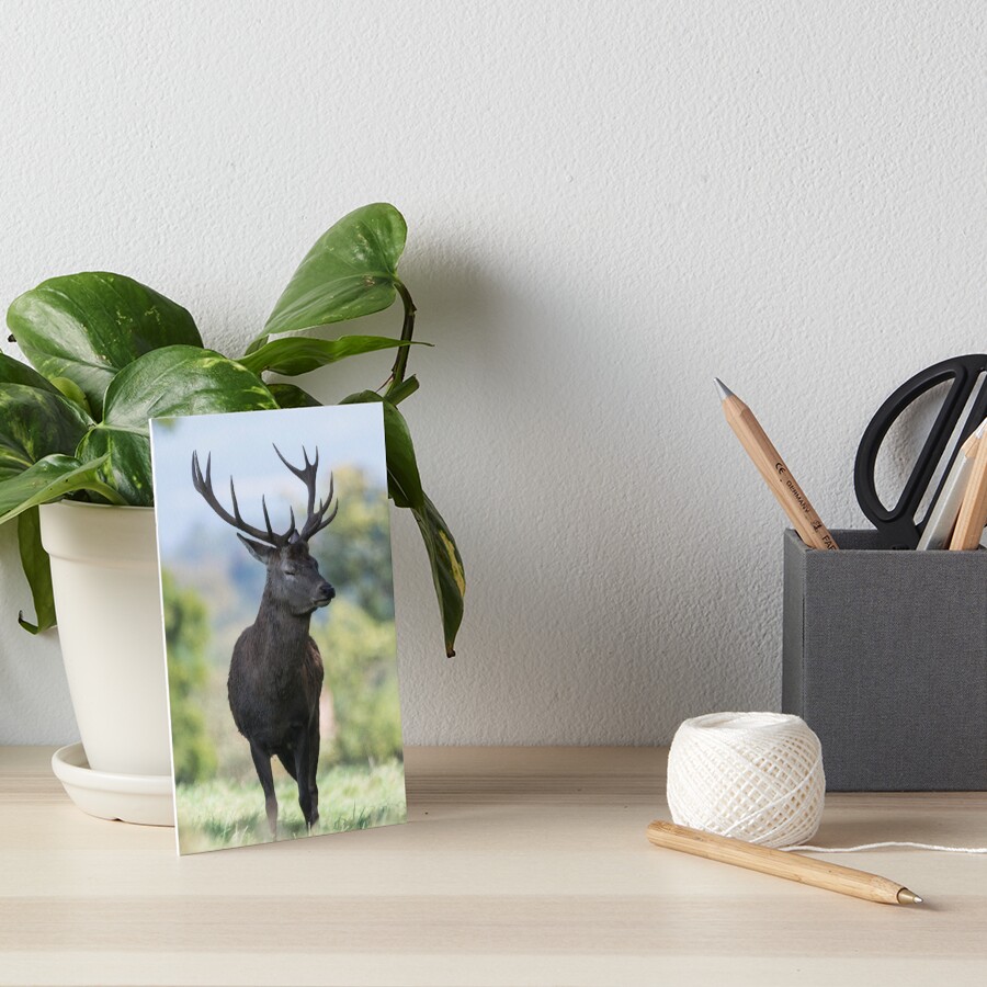 Item preview, Art Board Print designed and sold by Ruffus11.