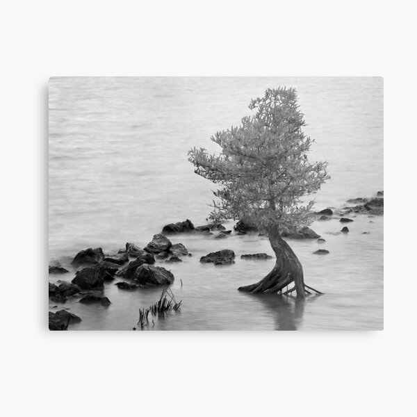 Solari B&W Metal Print