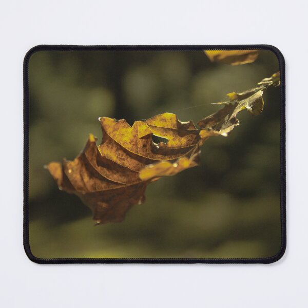 Item preview, Leaf in the sunshine designed and sold by elvirahphoto.