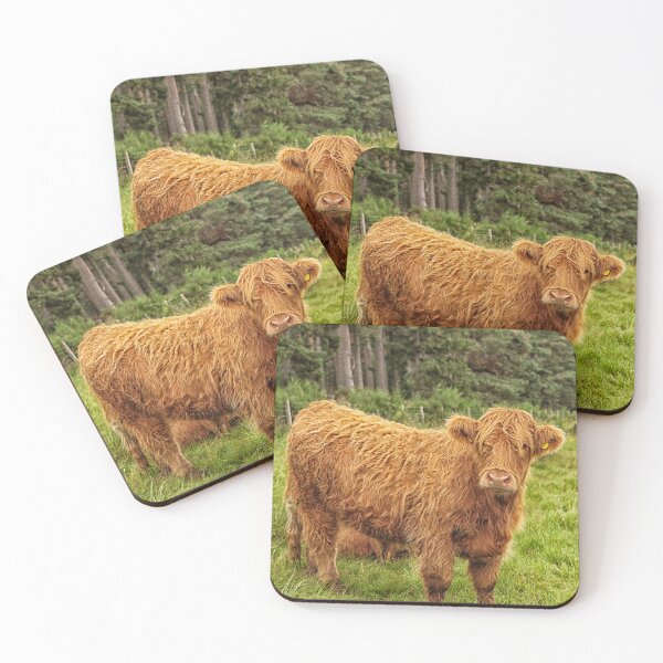 Item preview, Scottish Highland cow designed and sold by Photopat.