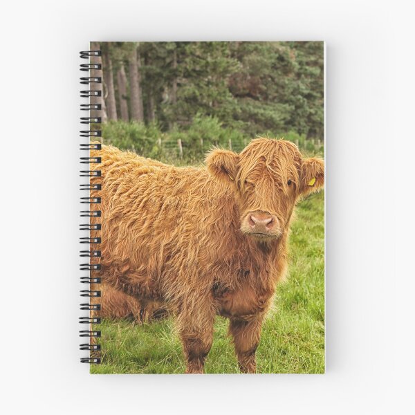Item preview, Scottish Highland cow designed and sold by Photopat.