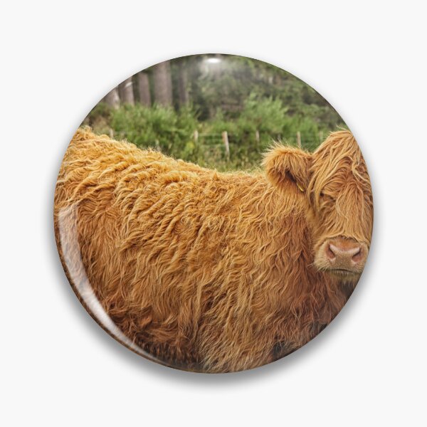 Item preview, Scottish Highland cow designed and sold by Photopat.