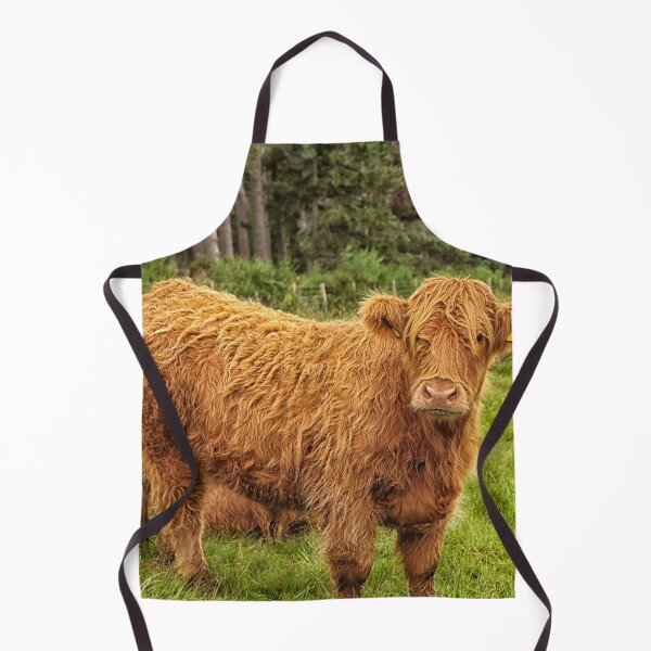 Item preview, Scottish Highland cow designed and sold by Photopat.