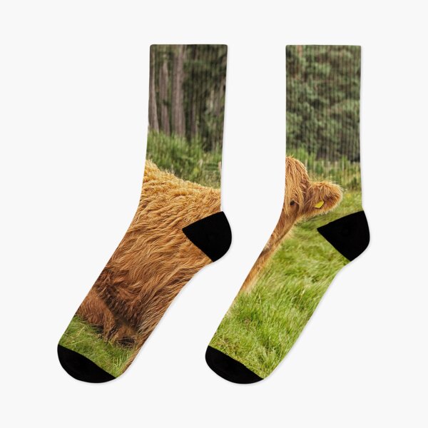 Item preview, Scottish Highland cow designed and sold by Photopat.
