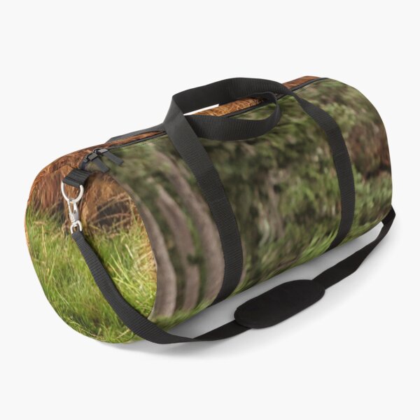 Item preview, Scottish Highland cow designed and sold by Photopat.
