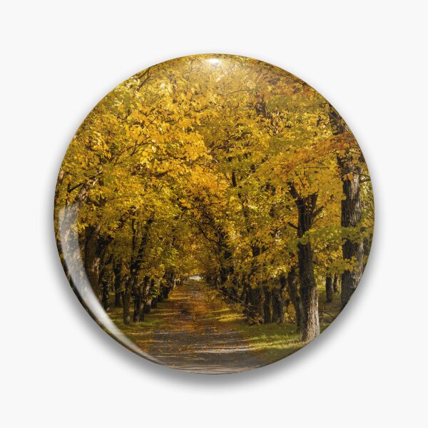Item preview, Deta Forest Lane designed and sold by DiFigianoPhoto.