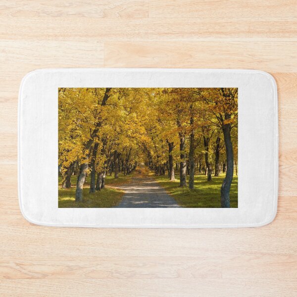 Item preview, Deta Forest Lane designed and sold by DiFigianoPhoto.